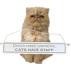 Wit With Wisdom 'Dogs Have Owners, Cats Have Staff' sign