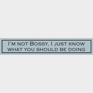 I'm Not Bossy, I Just Know What You Should Be Doing